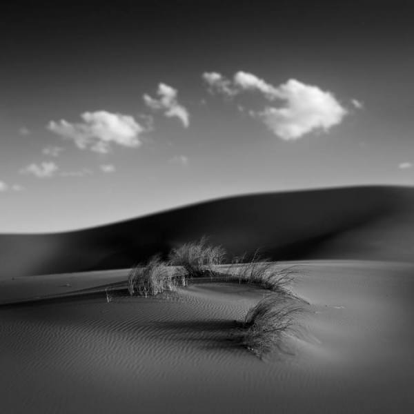 Photograph Marcello Franchin Silent Attended on One Eyeland